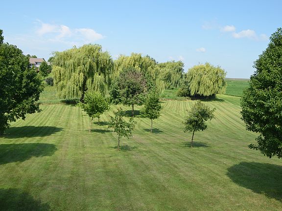 Low-Maintenance Backyard