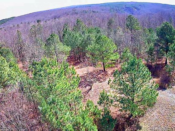 2nd image of 255 Falling Cliff Dr Lot 102