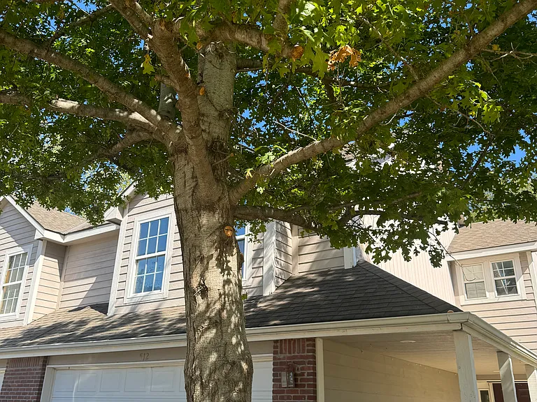 512 N John Doy Ct — Photo 1