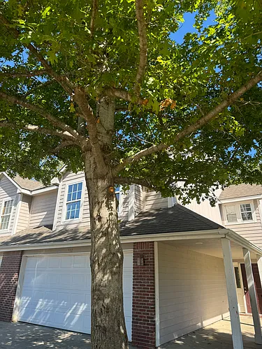 512 N John Doy Ct Photo 1