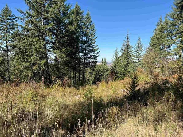 Nka Red Willow Rd, Kendrick, ID 83537