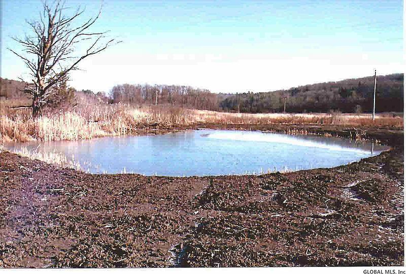2nd image of State Rte 22