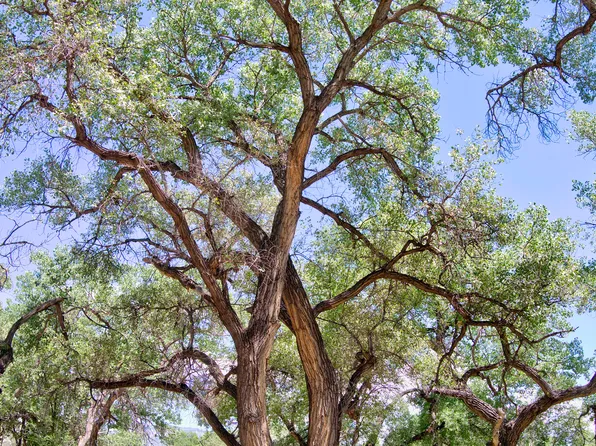 Bosque Oculto Lot B1-b, Corrales, NM 87048