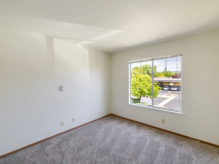 Bright and airy bedroom with a large window and soft carpet flooring.