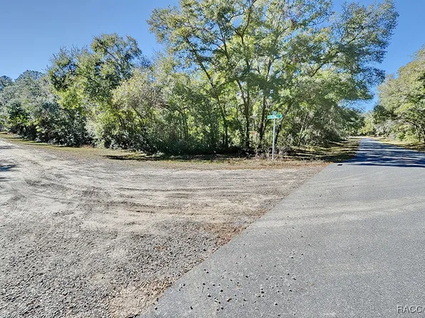 675 E Caldwell Dr, Citrus Springs, FL 34434