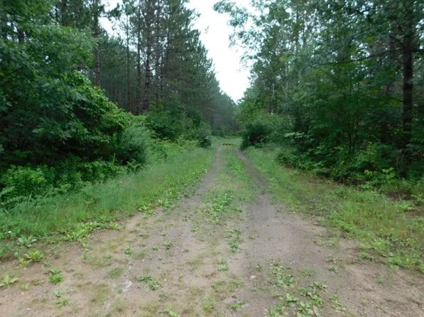 LOT 3 Brown Rd, Tomahawk, WI 54487