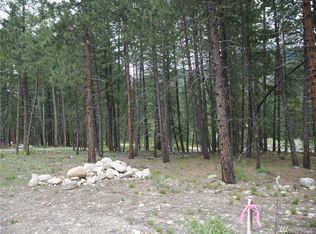 51 Lost River Rd LOT C1, Mazama, WA 98833