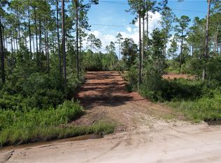 B084-010 Albert Gibson Rd, Hortense, GA 31543