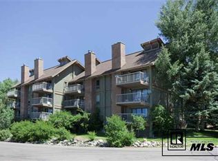 2590 Longthong Rd UNIT 210, Steamboat Springs, CO 80487
