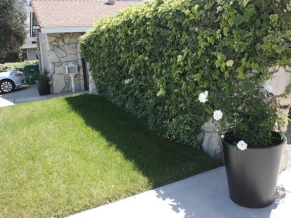 Wall in front of House