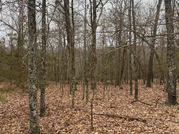 LOT 5/s #9, Hardy, AR 72542