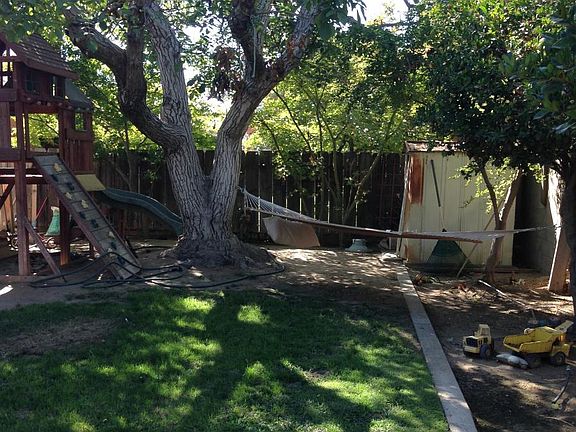 big pecan tree for lots of shade