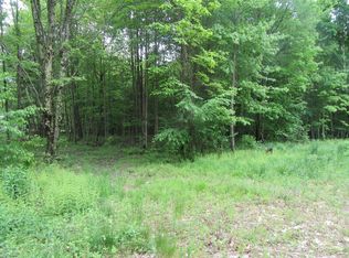 Skip Grey Rd, Delancey, NY 13752