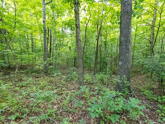 5th image of Riverview Rd Lot Wp002