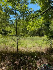 Camel Road E Side, Gilmer, TX, 75644