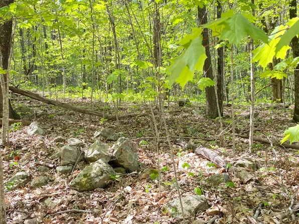 0 Hensley Hollow Rd, Dandridge, TN 37725