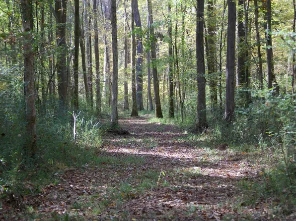 1761 County Road 126, Walnut, MS 38683