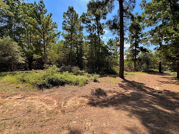 4th image of 445 Pine Valley Loop