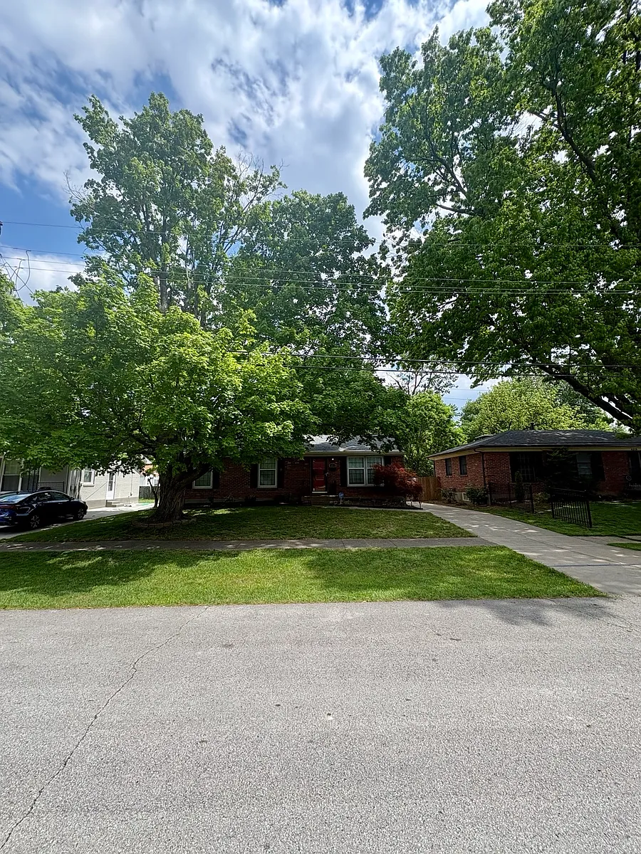 Street view - 4217 Cutliff Dr