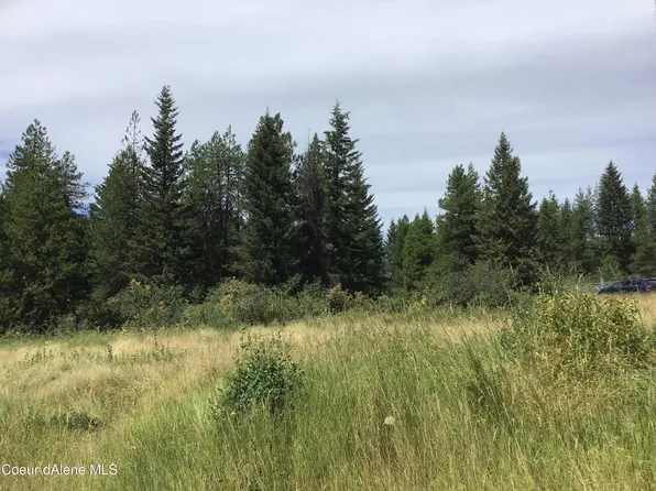 65 Saddle Horn Ln, Fernwood, ID 83830