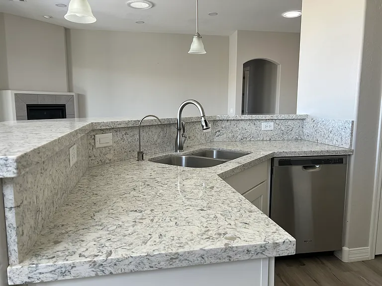 Handy Kitchen Area, Pull-down Faucet, Filter Water Faucet, SS Dishwasher