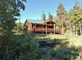 61 Ahrens Ct, Fairplay, CO 80440