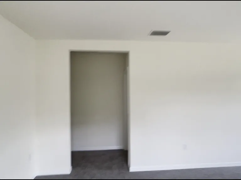 33367 Apricot Tree Ct — Photo 49