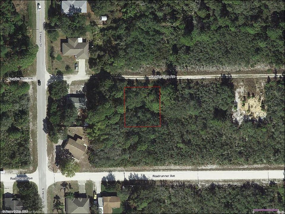 2nd image of 250 Caspian Tern Ave