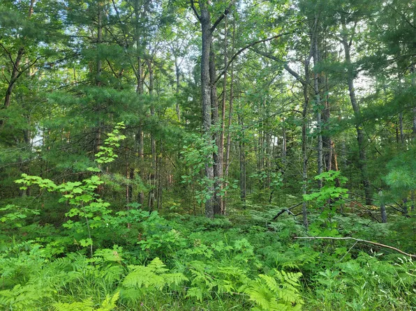 LOT 23 Apache Trl, Rogers City, MI 49779