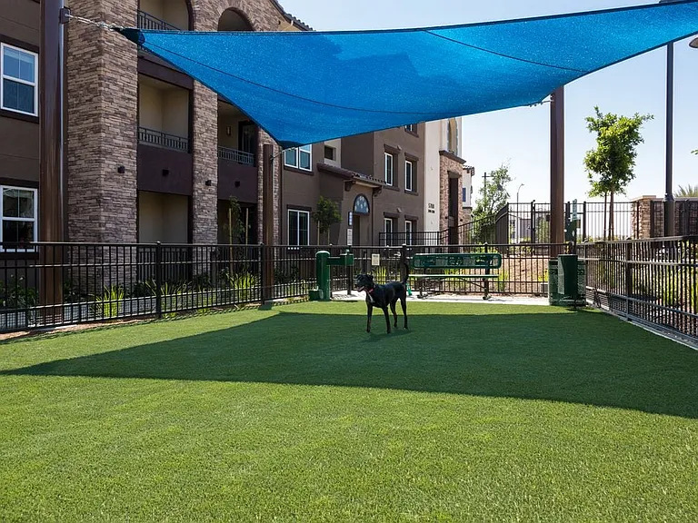 WAG Pet Park
