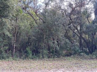 Alloy St LOT 12, Webster, FL 33597