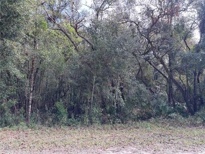 Alloy St LOT 12, Webster, FL, 33597
