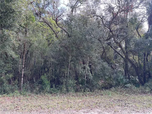 Alloy St Lot 12, Webster, FL 33597