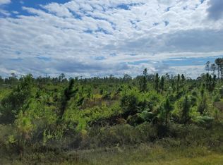 45 Meadowlark Blvd LOT 45, Lake Wales, FL 33898