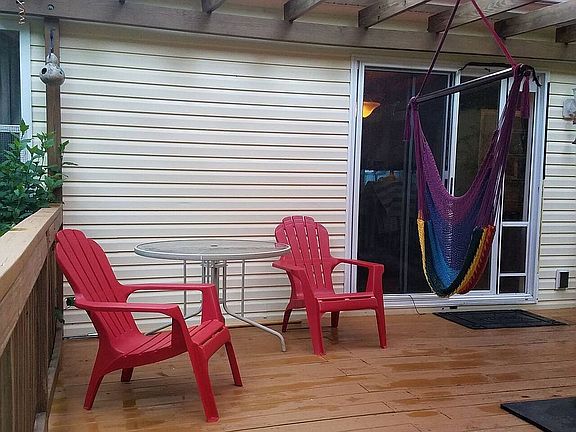 Hummingbirds visit each yr