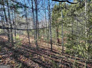 27 Rainbow Cir, Cleveland, GA 30528