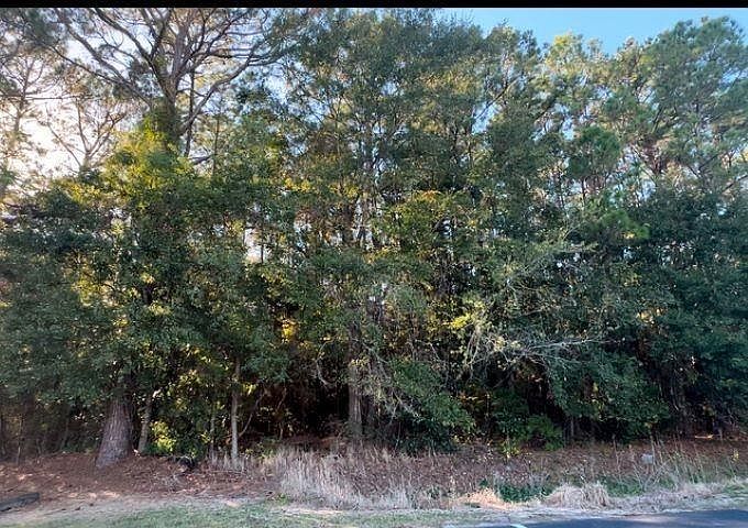 2nd image of 0 Higgins Rd #153