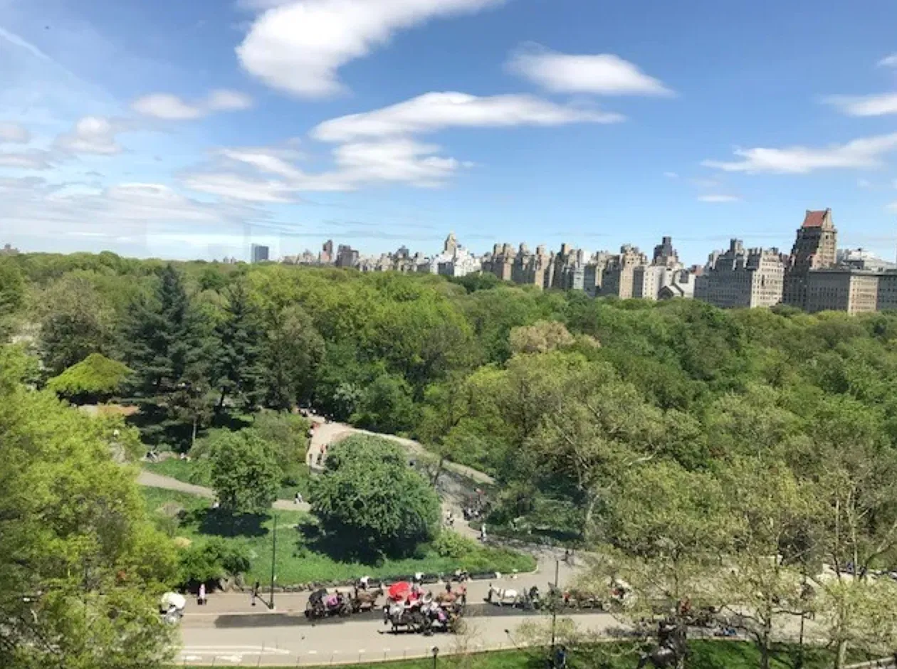 116 Central Park S — Photo 3
