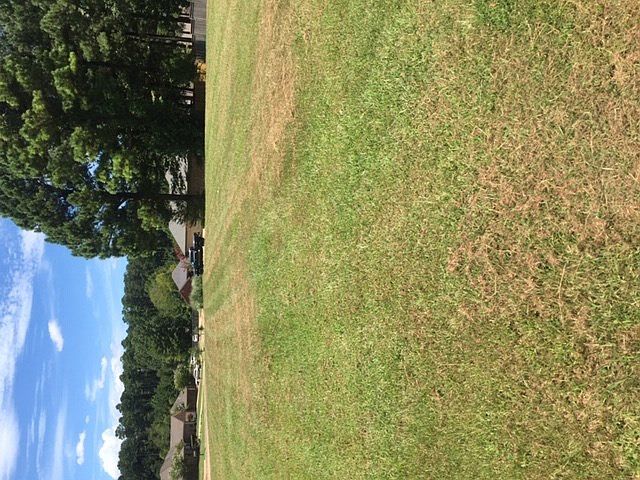 2nd image of Cedar Green Cv Lot 46