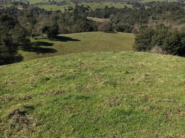 Cow Kick Rd, Angels Camp, CA 95222