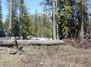 45 Misty Cir, Mazama, WA 98833