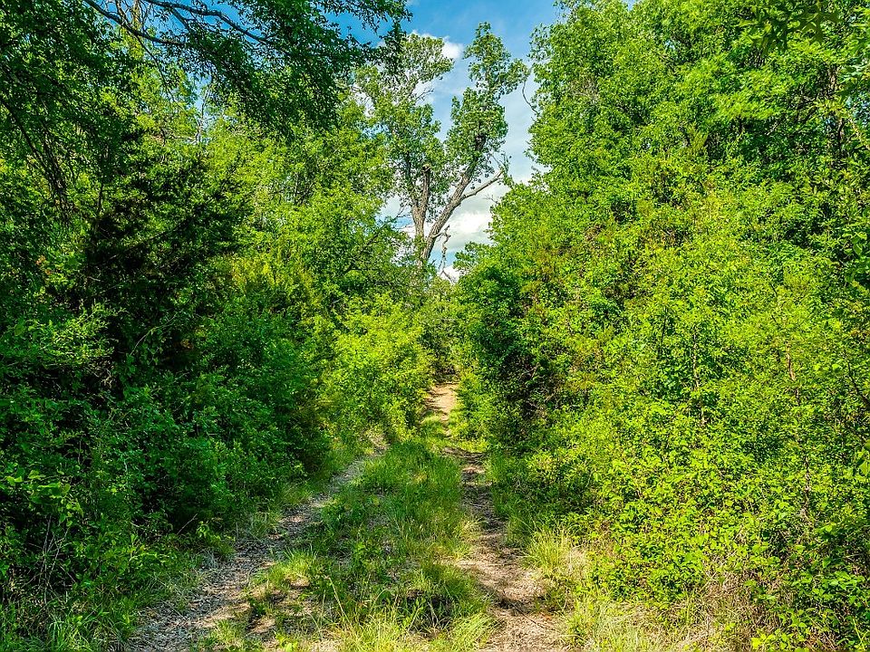 1st image of County Road 175 #21