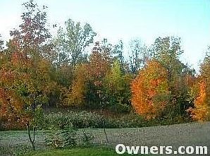 Private back yard