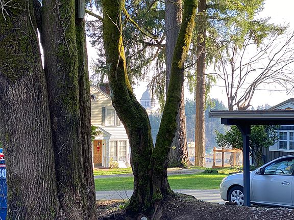 4th image of 1107 Vine Ave SW