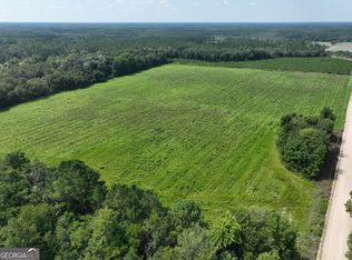 0 NE Groover Rd, Ludowici, GA 31316