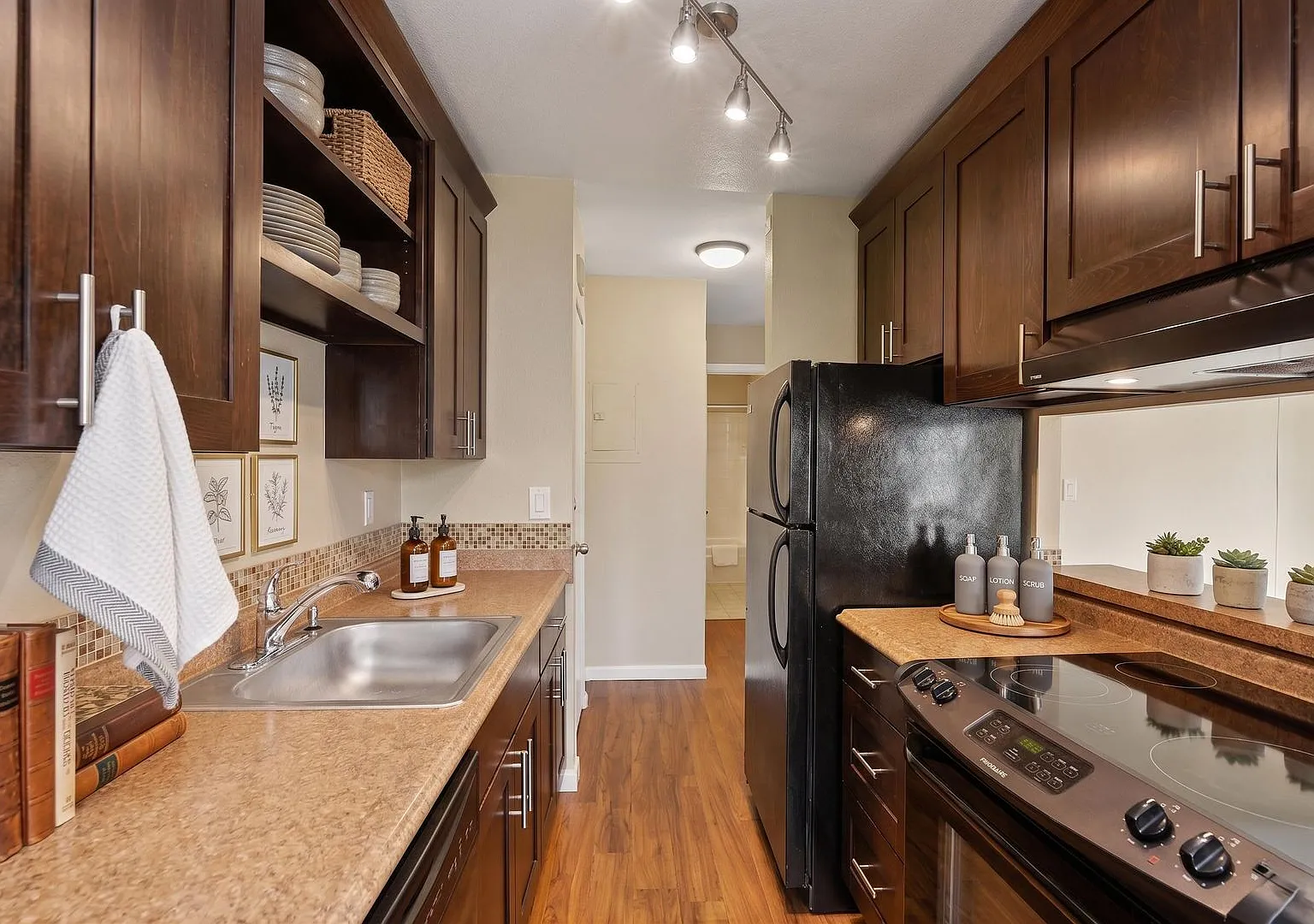 Beacon Hill Seattle 1 Bedroom Apartment for Rent | Hardwood Floors, Private Balcony, Central A/C,... — Photo 1
