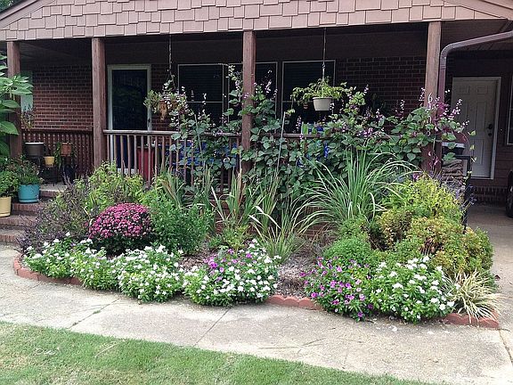 Front garden in summer