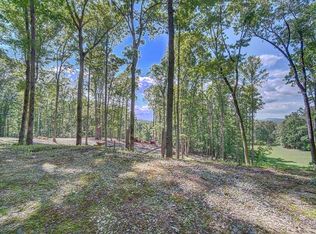 LOT 1 Highland Forest Dr, Morganton, GA 30560