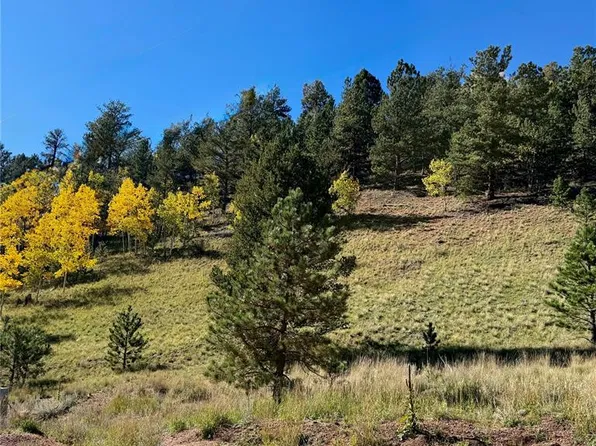 200 Beaver Pond Rd, Divide, CO 80814