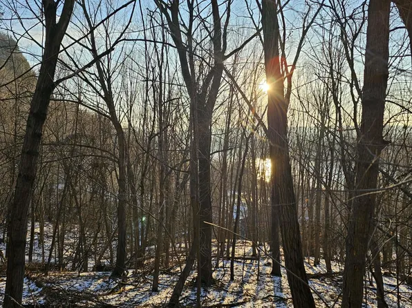 Stevens Rd, De Soto, WI 54624